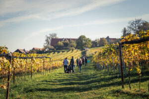 Passejada entre les vinyes del sud d'Àustria