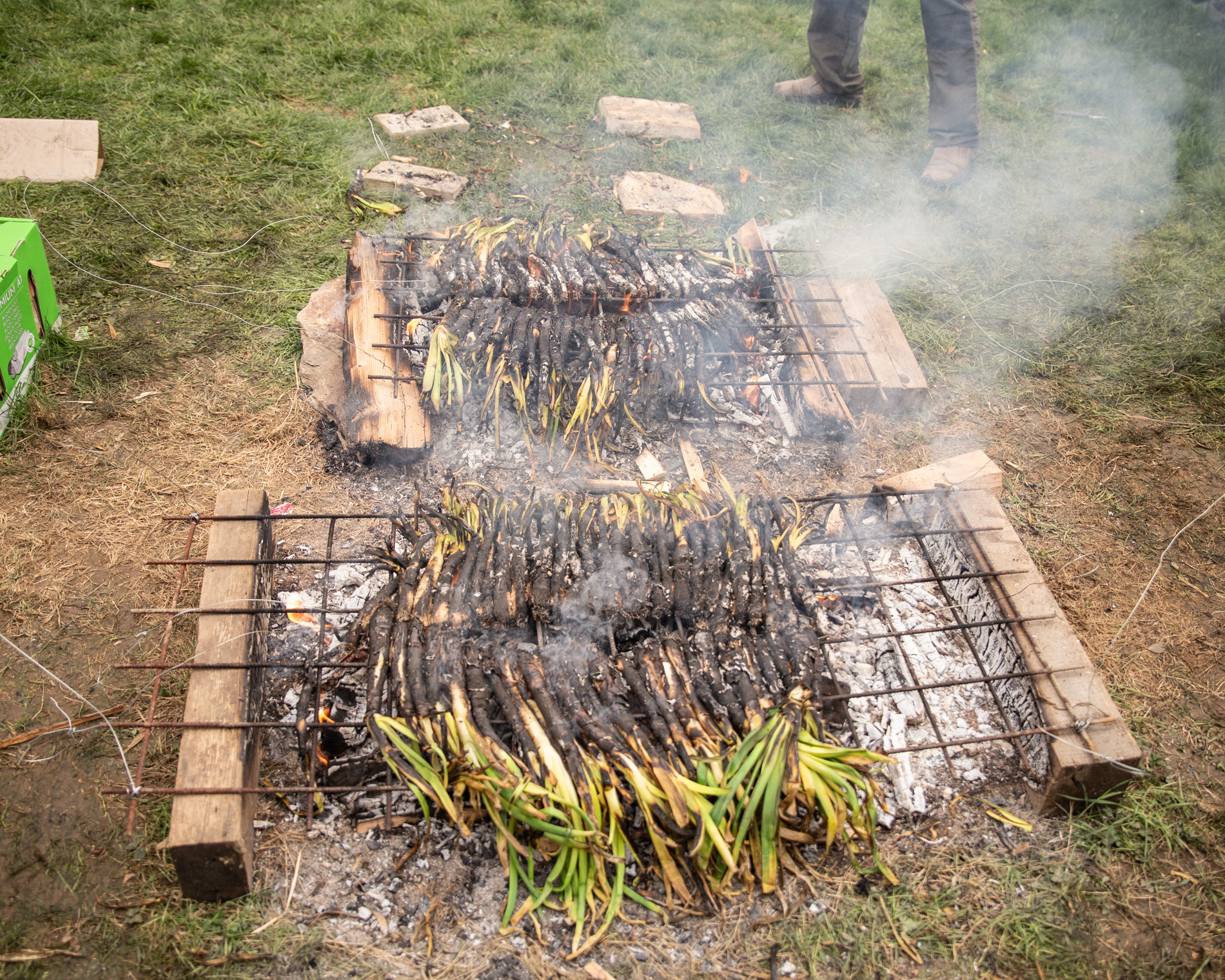 Calçots fent-se a un foc de terra