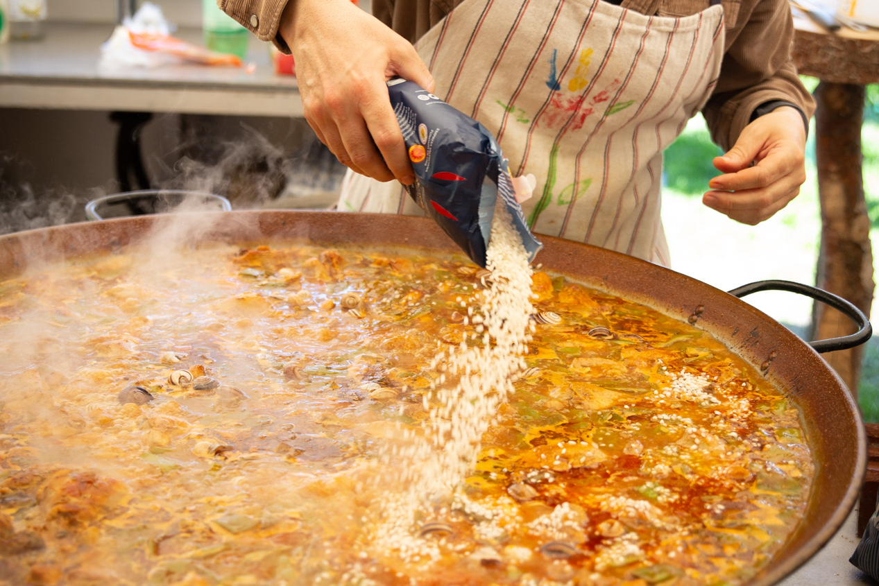 Persona tirant arròs a una paella. Paella valenciana.
